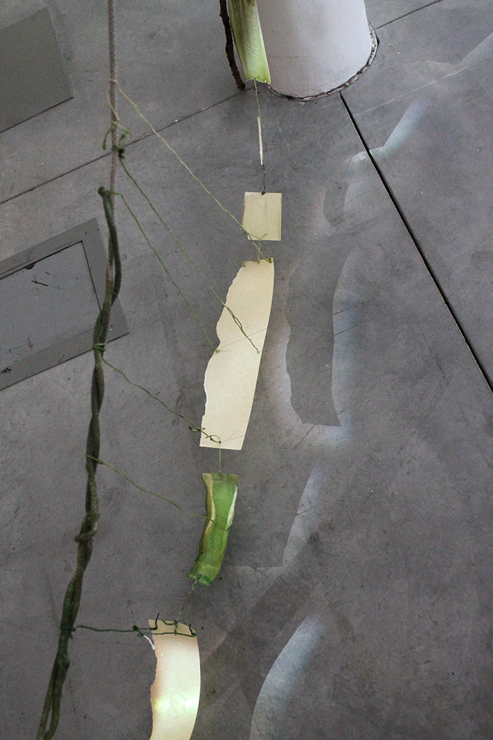 A string of torn and partially eaten green banana peels and a spare strip of paper hanging from a thin string, attached to a plant stem, on a gray tiled floor near a white cylindrical support.