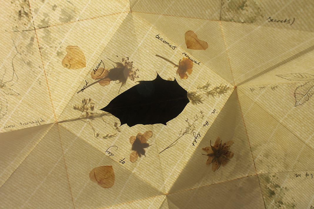 A handmade paper umbrella decorated with pressed flowers and handwritten notes about herbs and secrets.