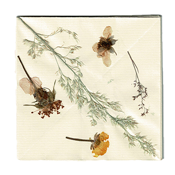 Pressed dried flowers and leaves arranged on a light background.