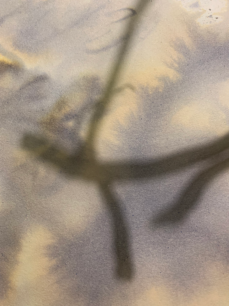 Close-up of a blurred, grayish flower or plant with a dark stem against a soft, pastel background.