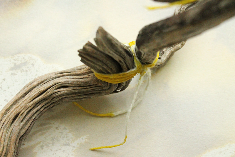 A close-up image of a twisted, weathered piece of driftwood or wood branch secured with yellow string.