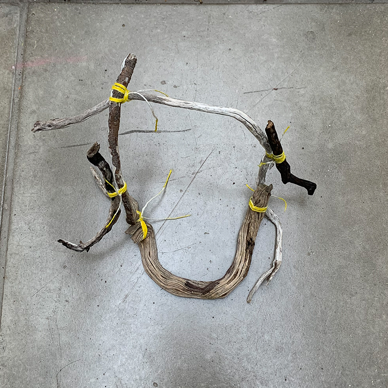 Several small, dry, twisted tree branches tied together with yellow plastic ties and laid out on a concrete floor.