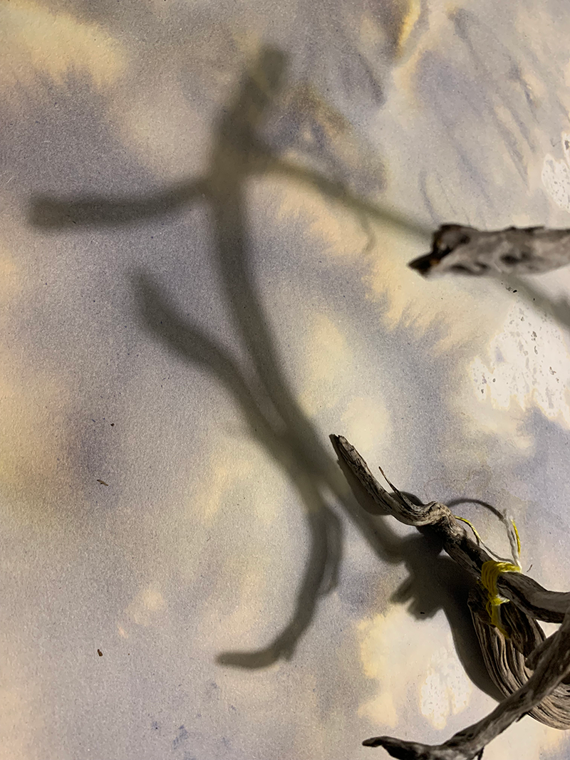 Close-up of a twisted, dried piece of wood or vine casting a shadow on a cloudy sky background.