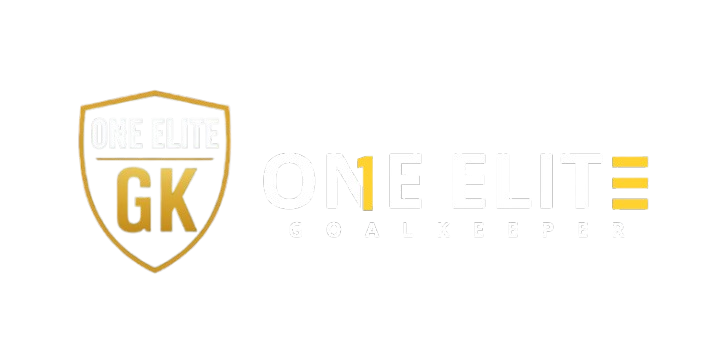 ONE ELITE GOALKEEPER