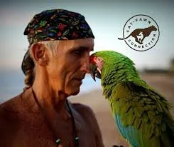 Four Arrows interacts closely with a green and blue parrot. The CAT FAWN logo is in the top right corner.