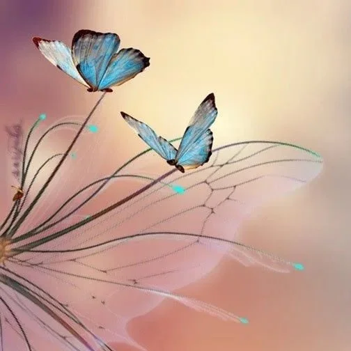 Unraveling the Energetic Threads of Trauma Bonding