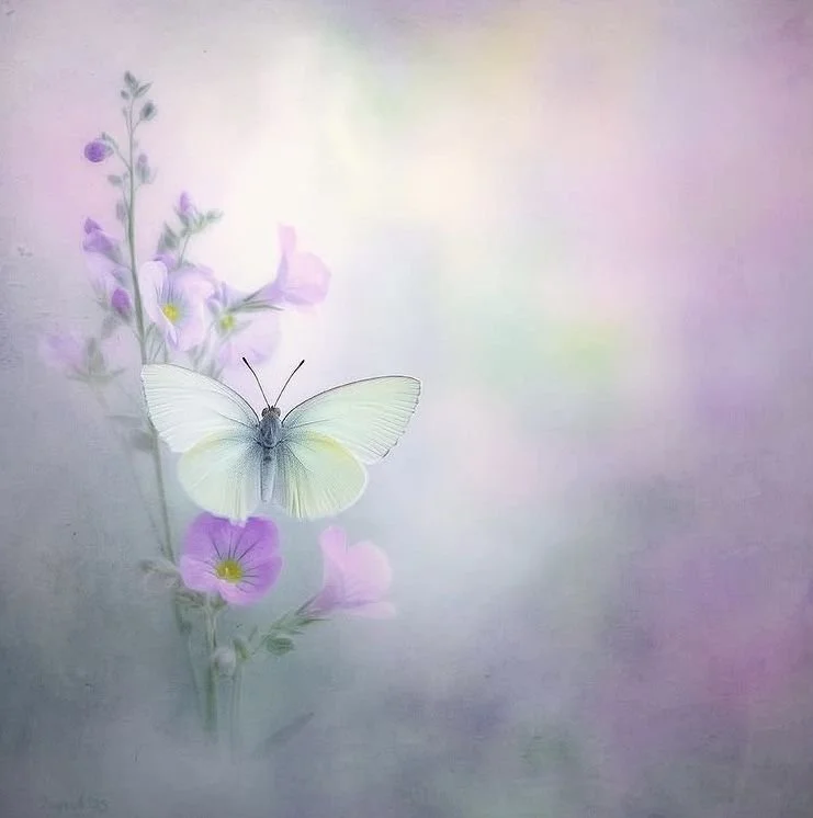 The Role of Projection