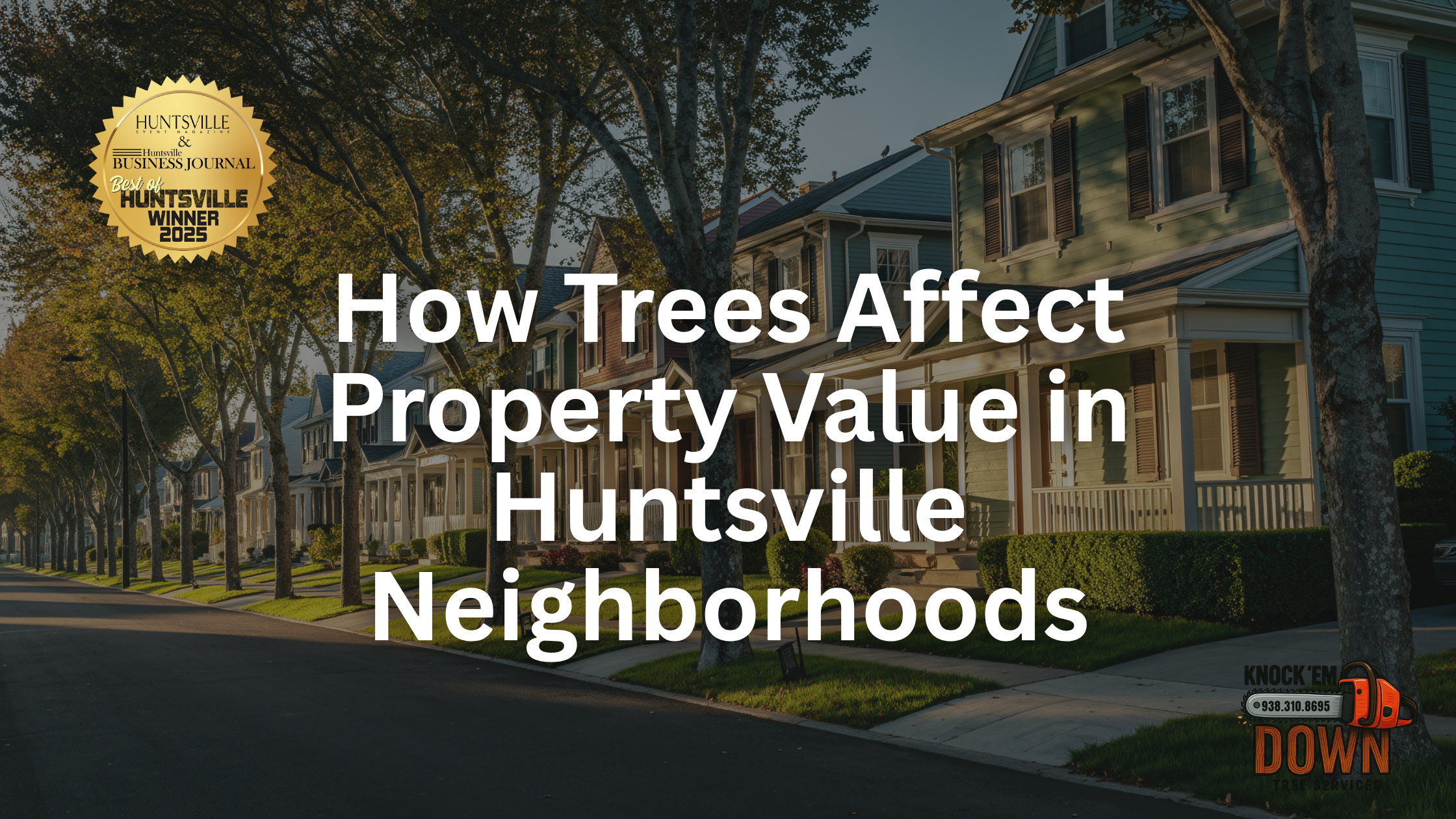 How Trees Affect Property Value in Huntsville Neighborhoods