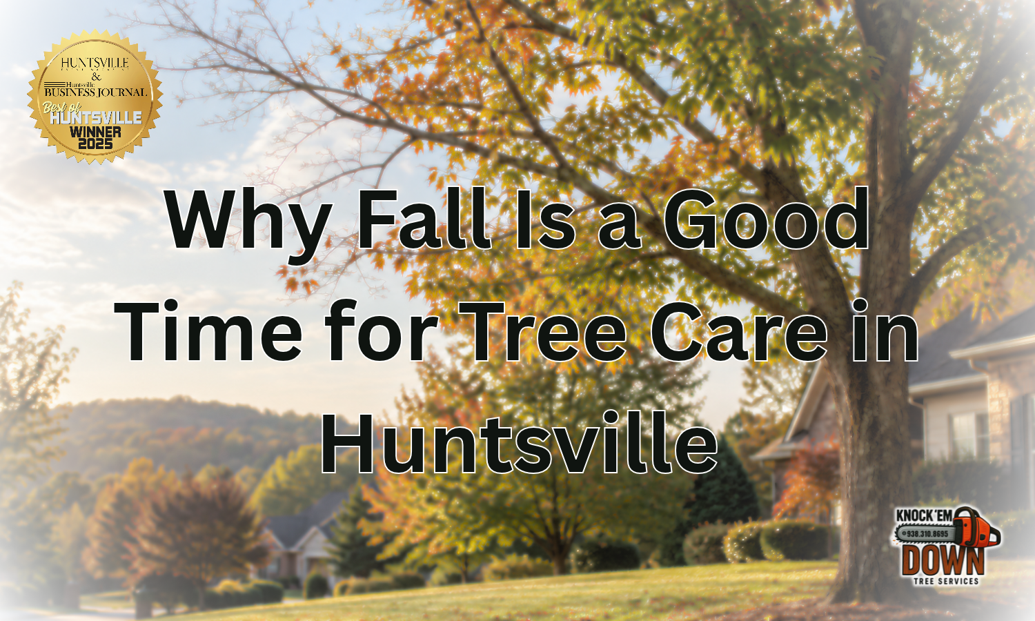 Why Fall Is a Great Time to Take Care of Problem Trees