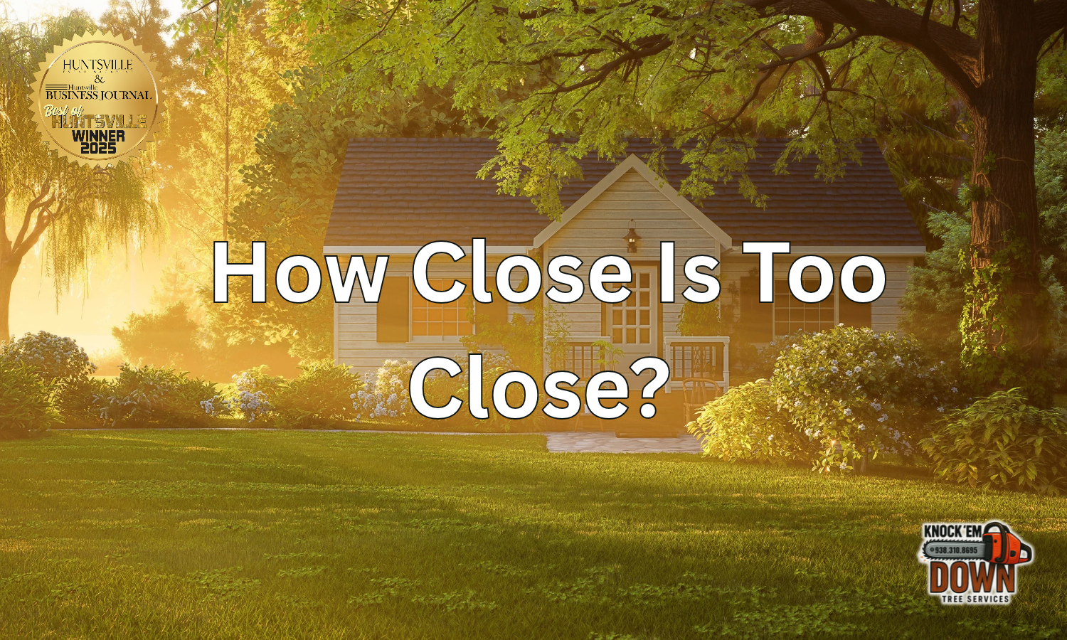 How Close Is Too Close? Trees Growing Near Your House