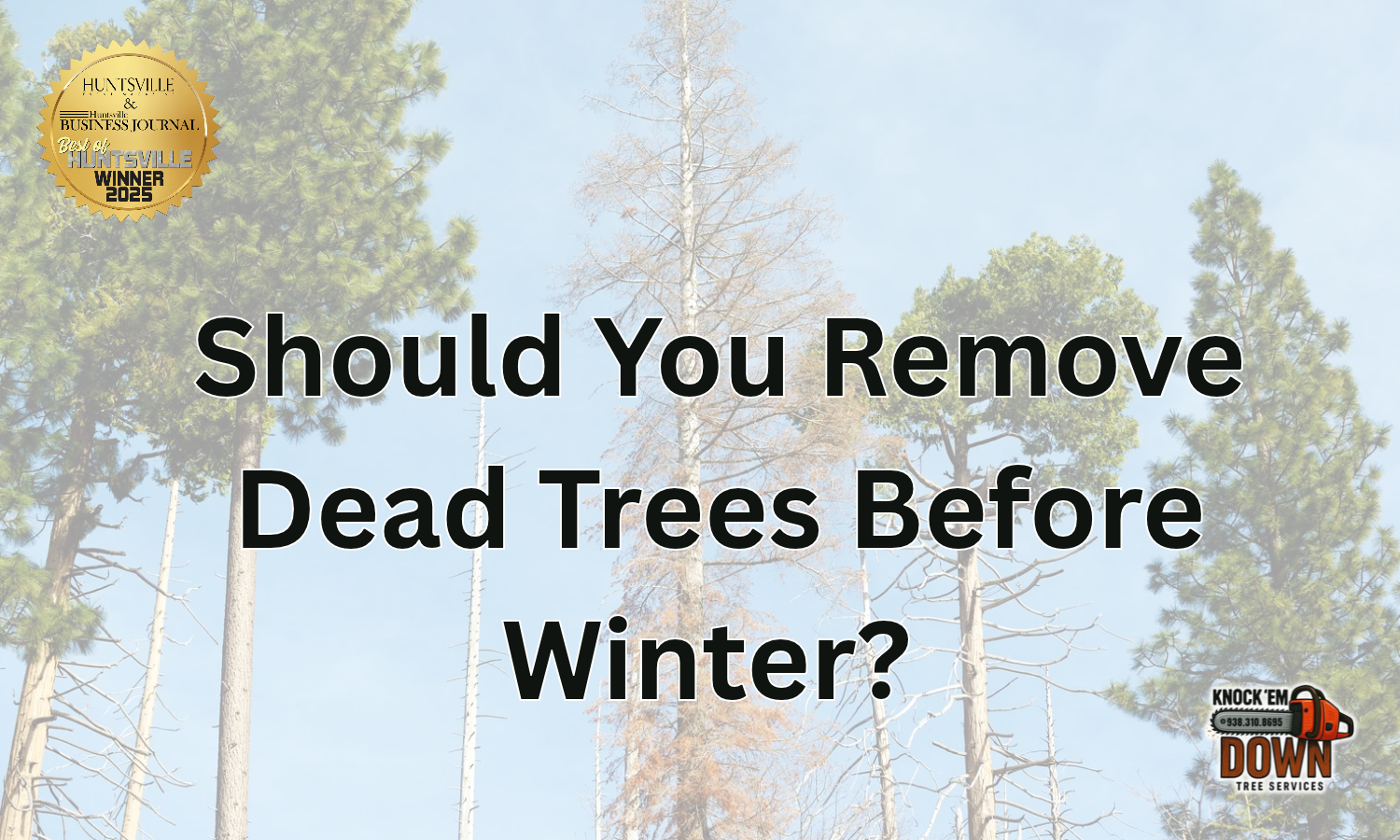 Should You Remove Dead Trees Before Winter?
