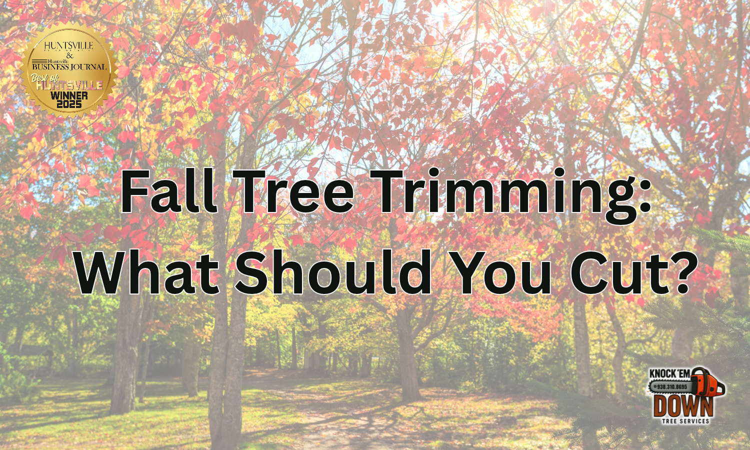 Fall Tree Trimming: What Should—and Shouldn’t—Be Cut Back?