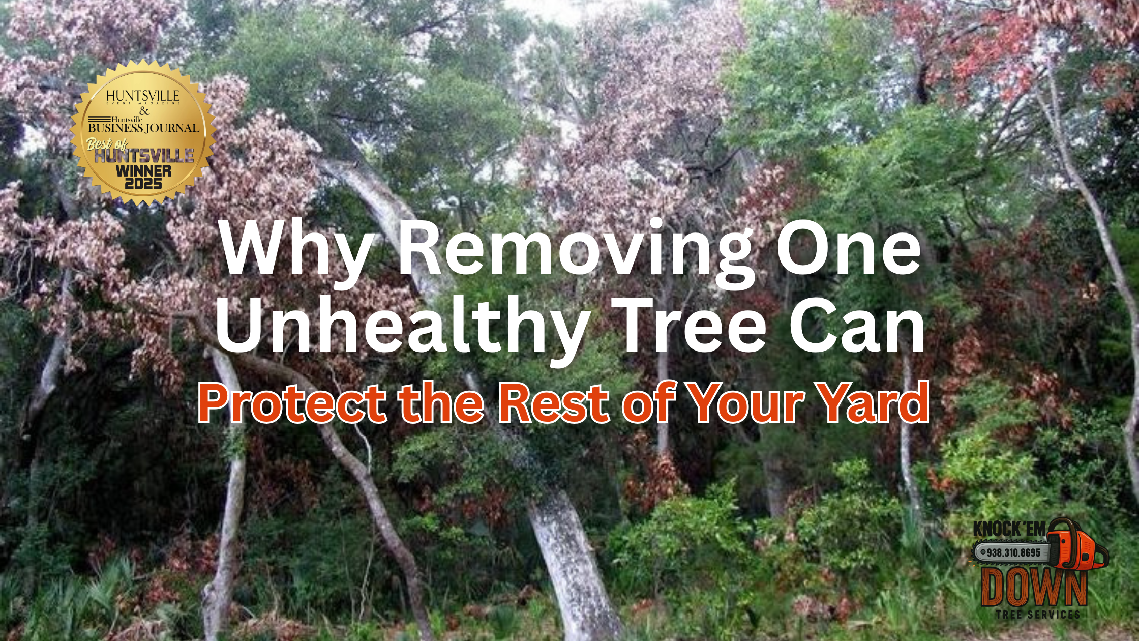 Diseased trees in yard