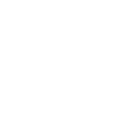 Simple line drawing of a person in a suit with a tie and a certificate with a ribbon, representing achievement or recognition.