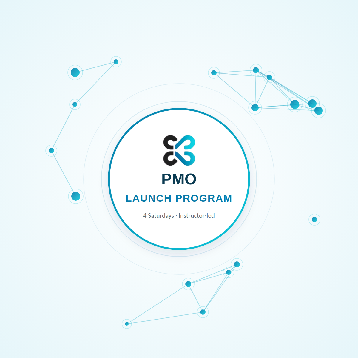 Synergies4-PMO-Launch-Program.png