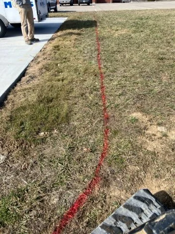 A red line marking a boundary in a grassy yard, with a sidewalk and parked cars in the background.