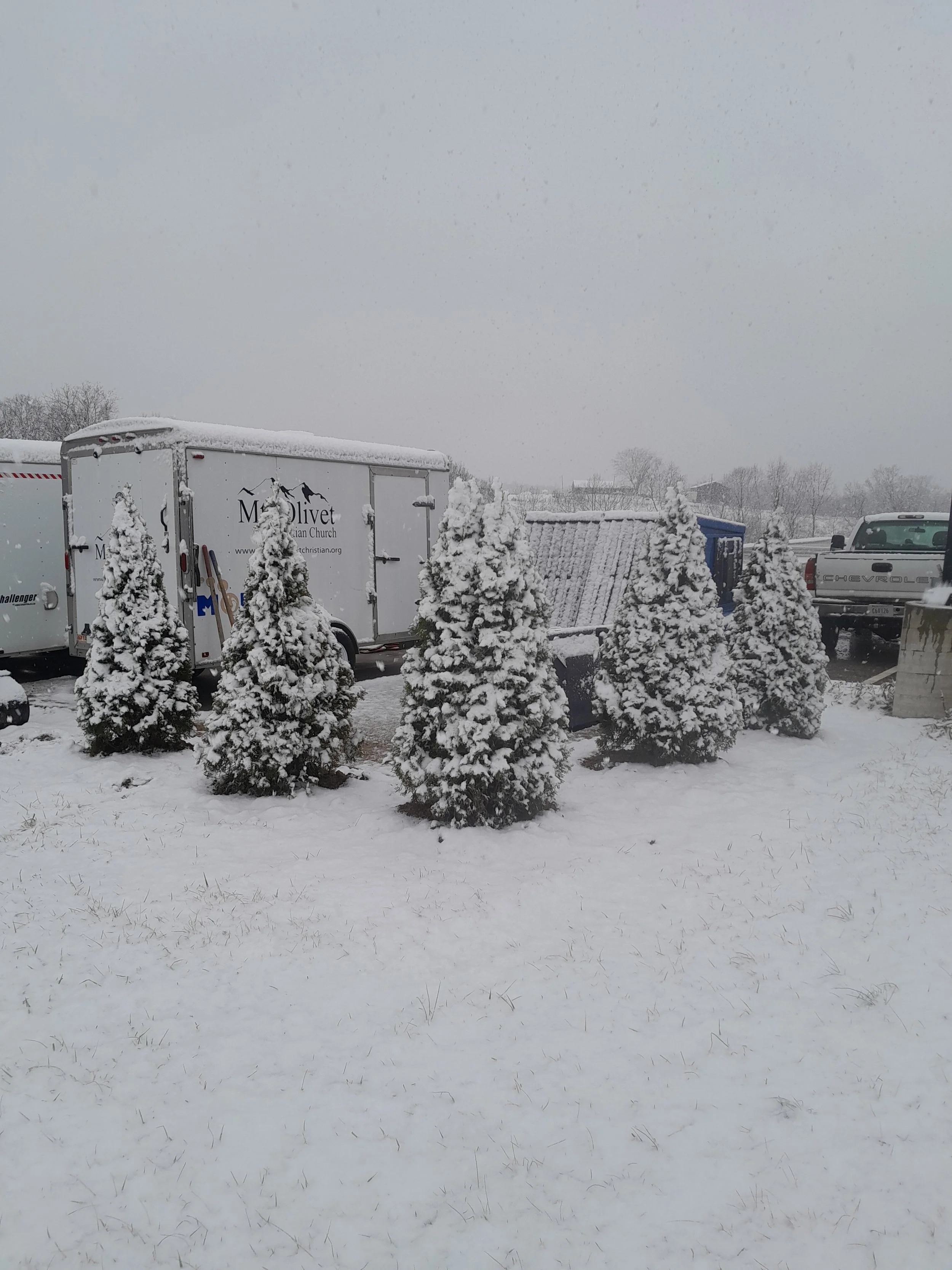 Snow-covered small evergreen trees in front of trailers and parked vehicles on a snowy day.
