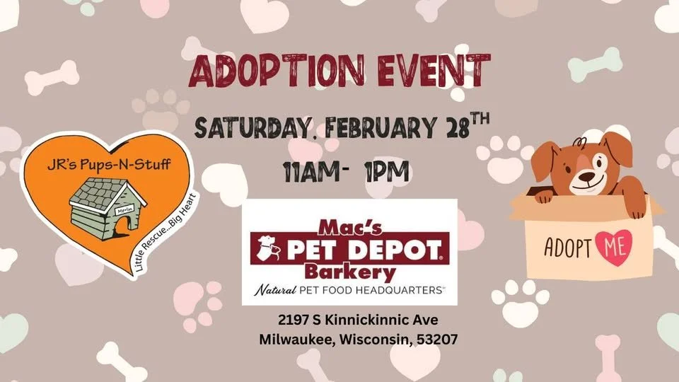 Adoption Event at Mac's Pet Depot Barkery