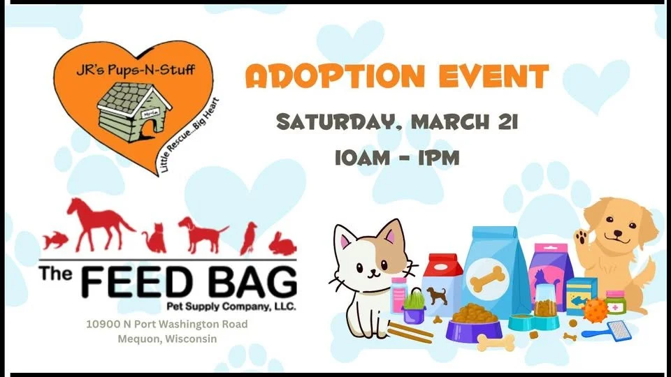 JR's Pups-N-Stuff Adoption Event at The Feed Bag