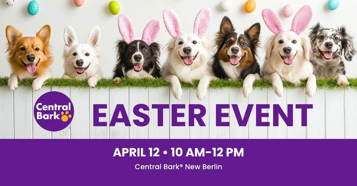 Photos With the Easter Bunny & Adoption Event