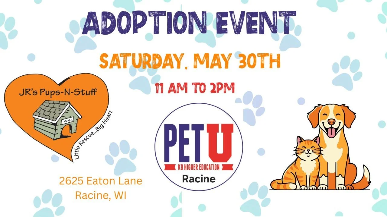 Adoption Event at Pet U - Racine