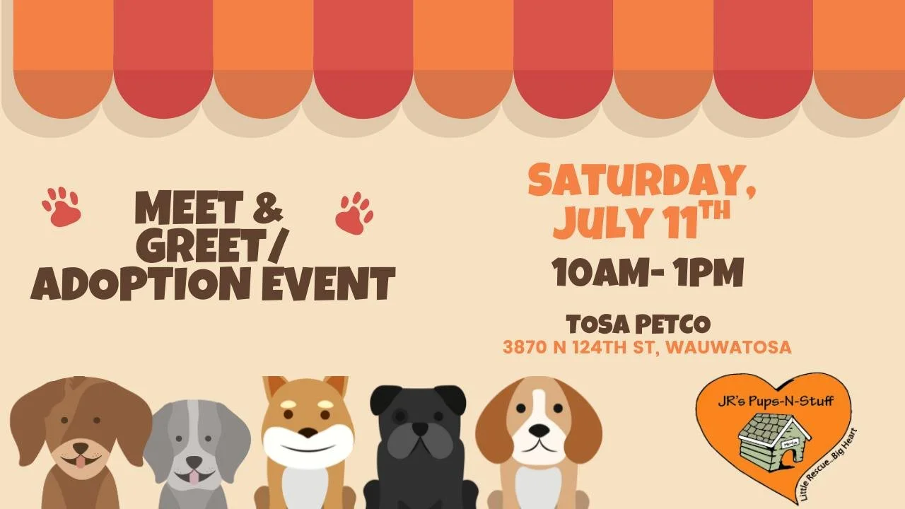 Wauwatosa Petco Adoption Event