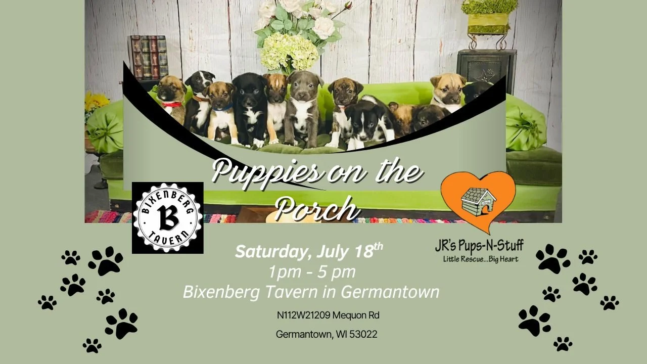 Puppies on the Porch at Bixenberg Tavern