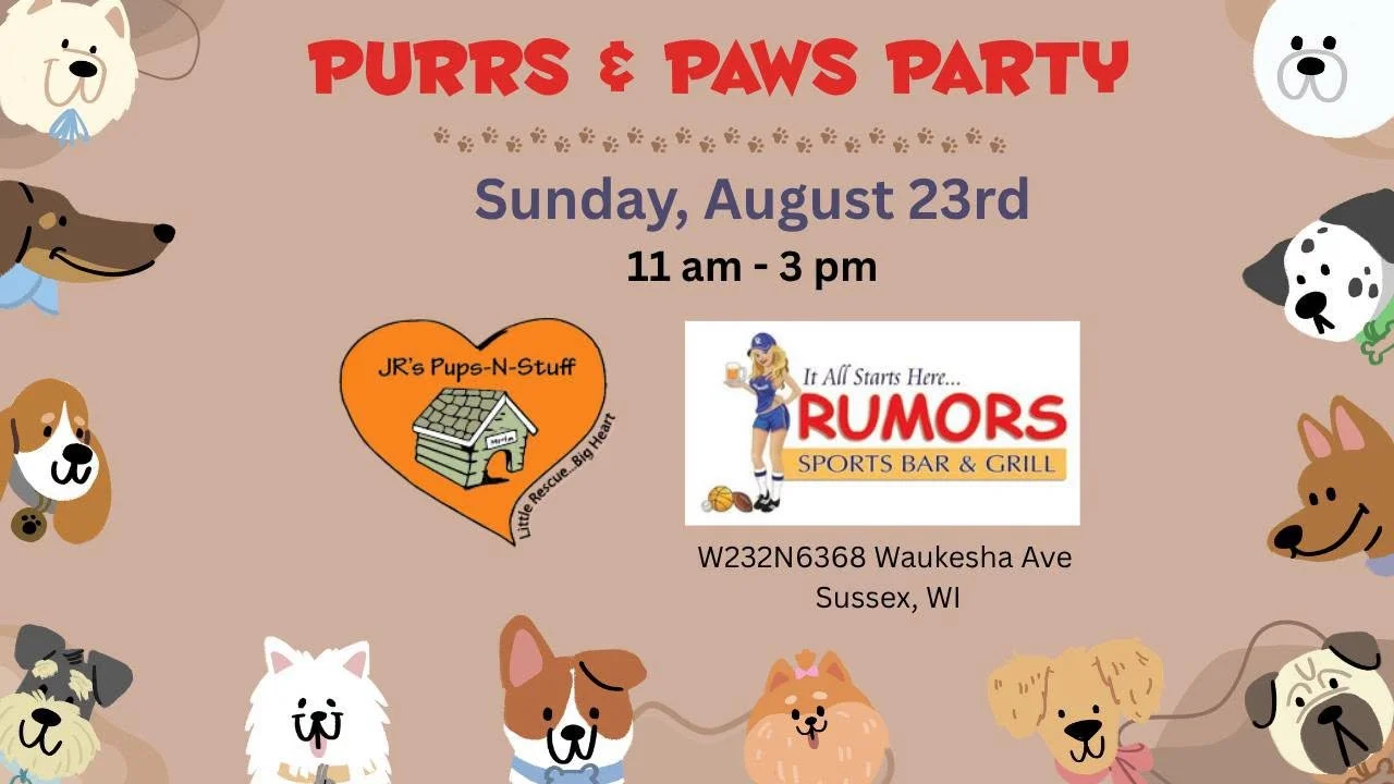 Purrs & Paws Party At Rumors Sports Bar & Grill 