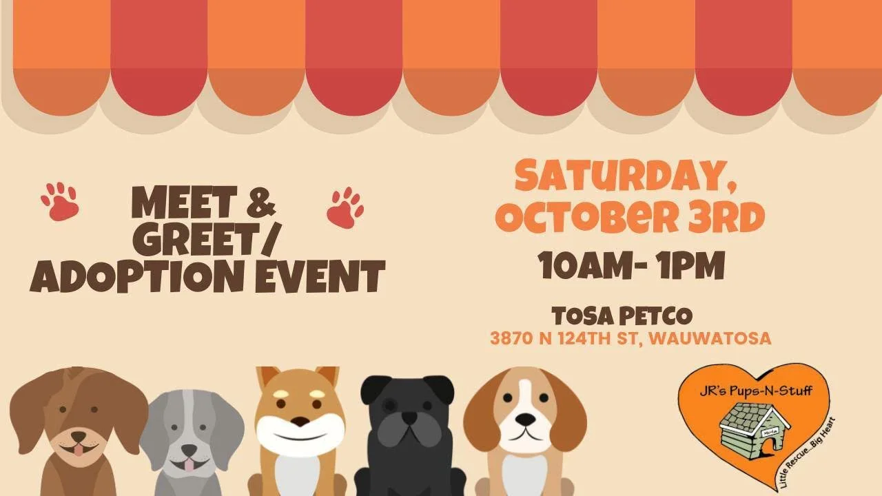 Wauwatosa Petco Adoption Event