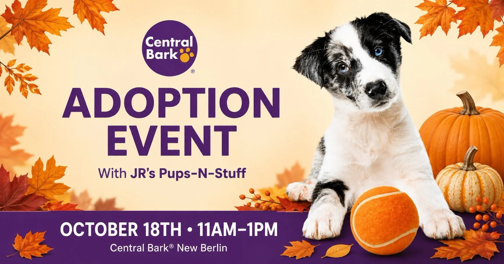 Adoption Event at Central Bark New Berlin