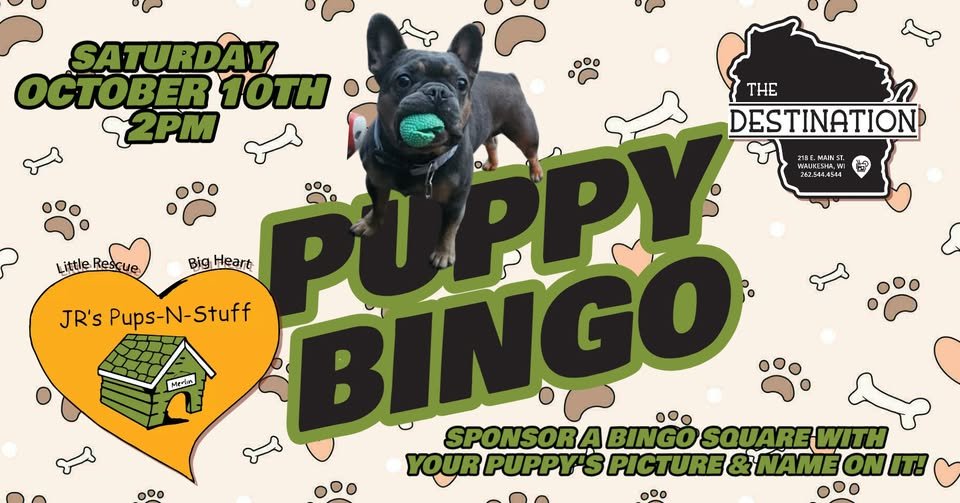 Puppy Bingo @ The Destination