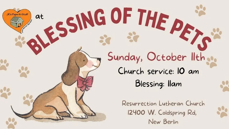 Blessing of the Pets