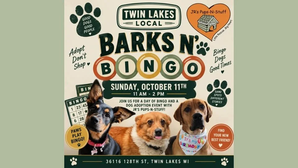 Barks N' Bingo