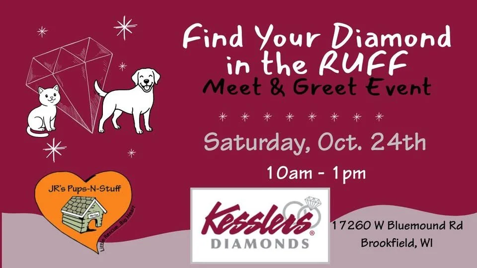 Find Your Diamond in the Ruff @ Kesslers