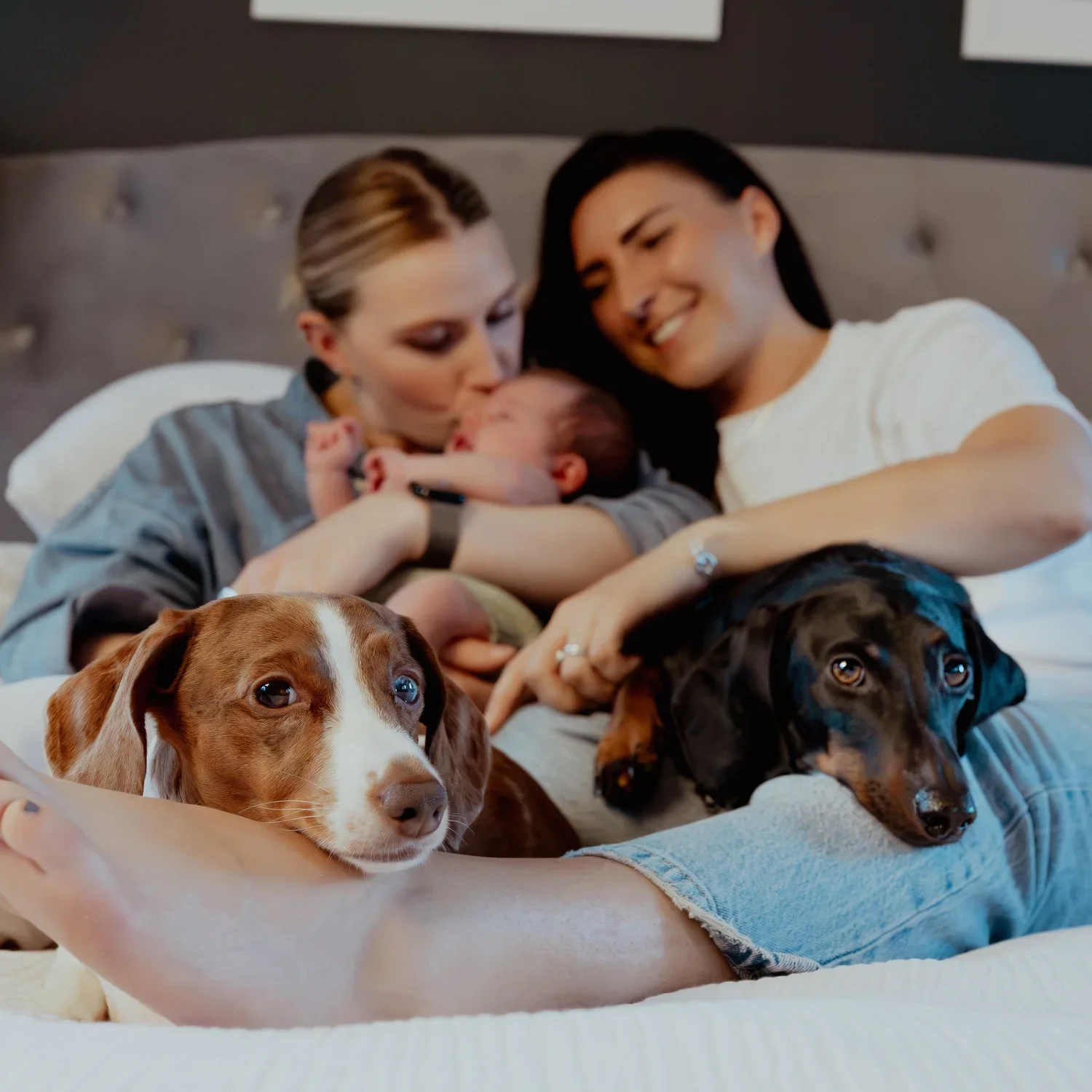 at-home-family-photoshoot-marketharborough.jpg.webp8.jpg.webp