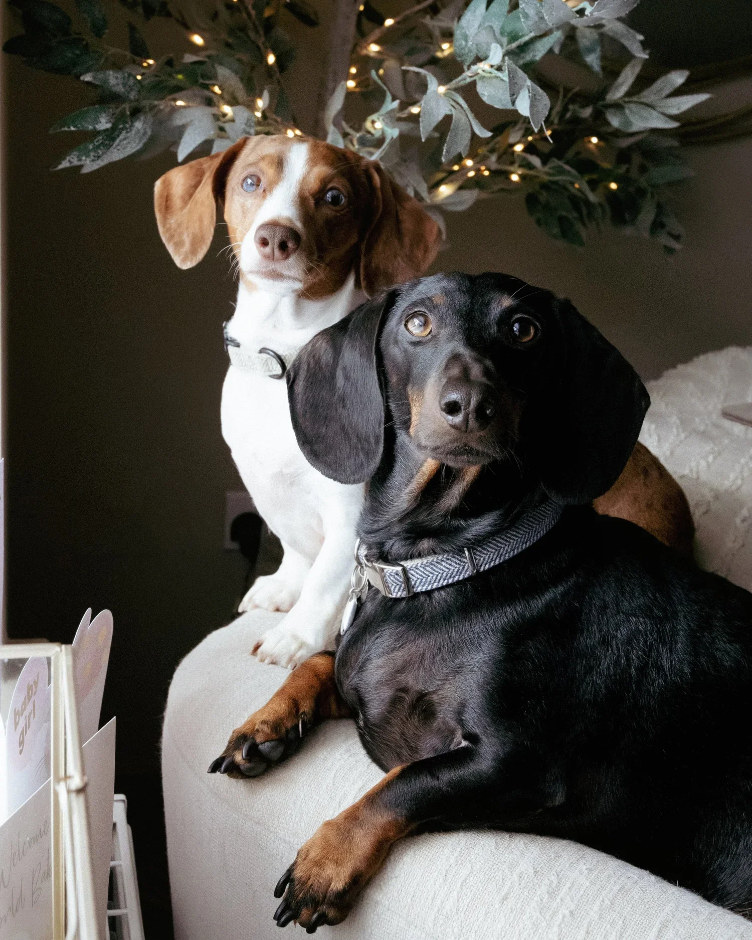 at-home-family-photoshoot-marketharborough.jpg.webp4.jpg.webp