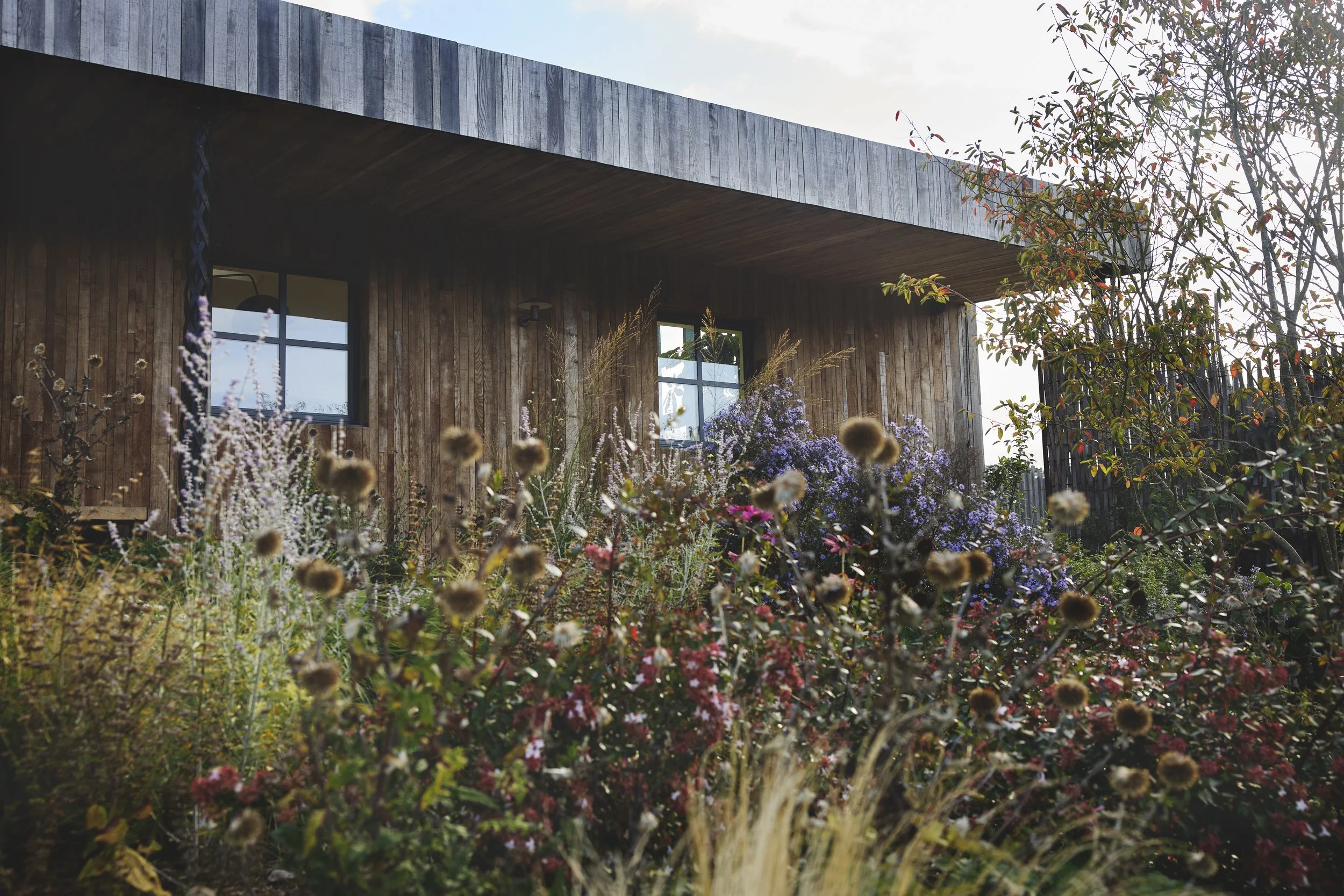 A modern house with wooden exterior walls, two windows, and garden plants and flowers in the foreground.
