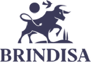 Silhouette of a lion standing on a rock with the word 'BRONX' underneath.