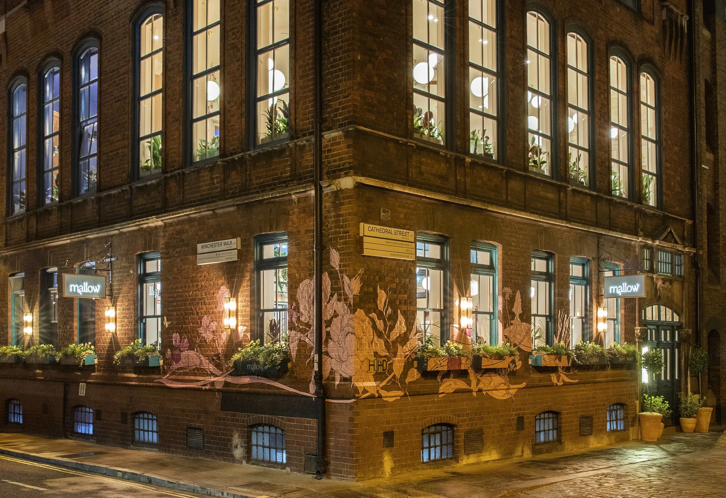 Nighttime exterior of a brick building on a street corner, decorated with illuminated signs and flower boxes. Windows display interior lighting and plants, with the signs reading 'mallow.' Street signs indicate 'Winchester Walk' and 'Cathedral Street