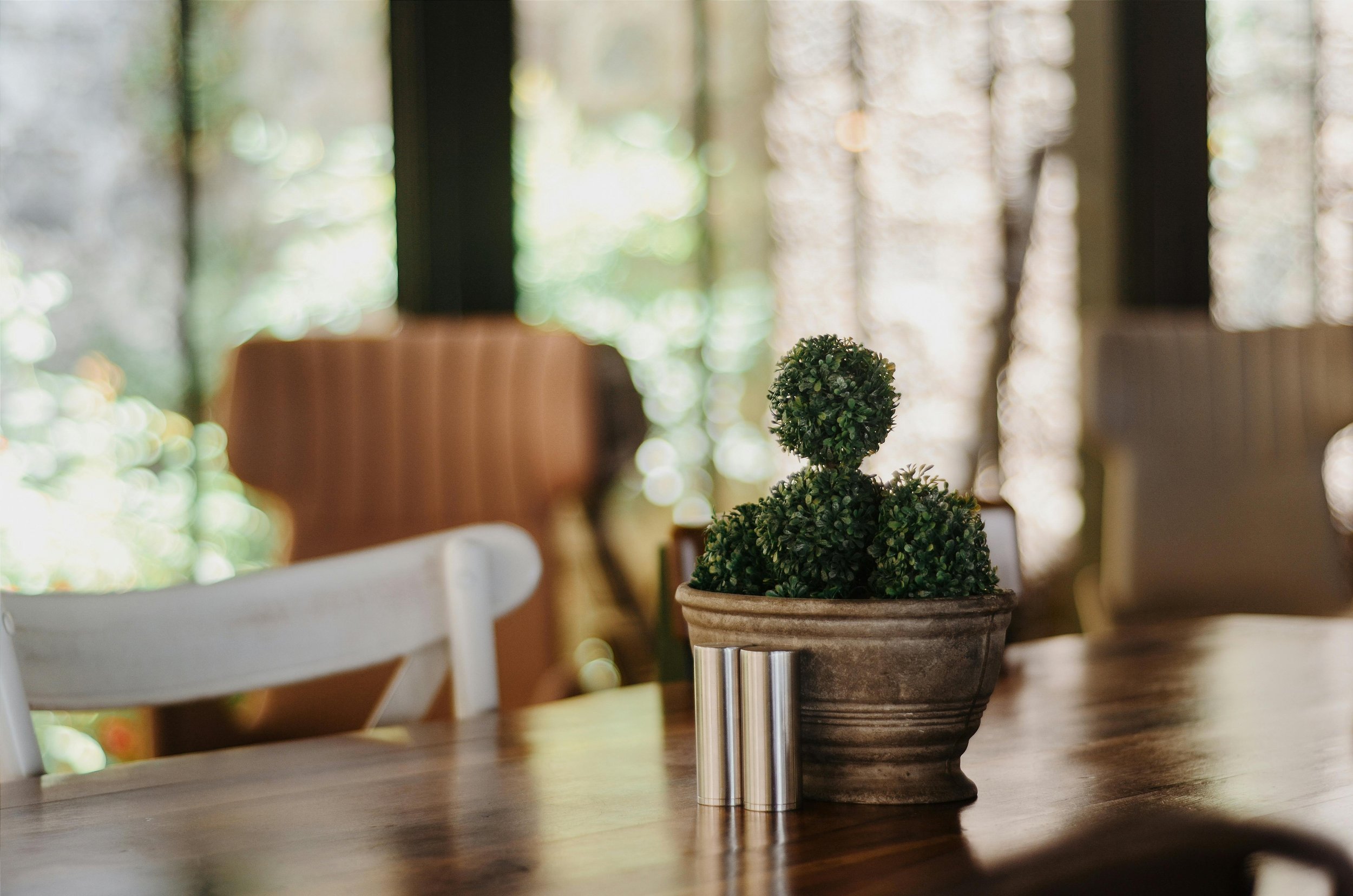 A small potted topiary plant with a rounded top and lower leaves in a rustic gray ceramic pot on a wooden table, with chairs and a window with trees visible in the blurred background.