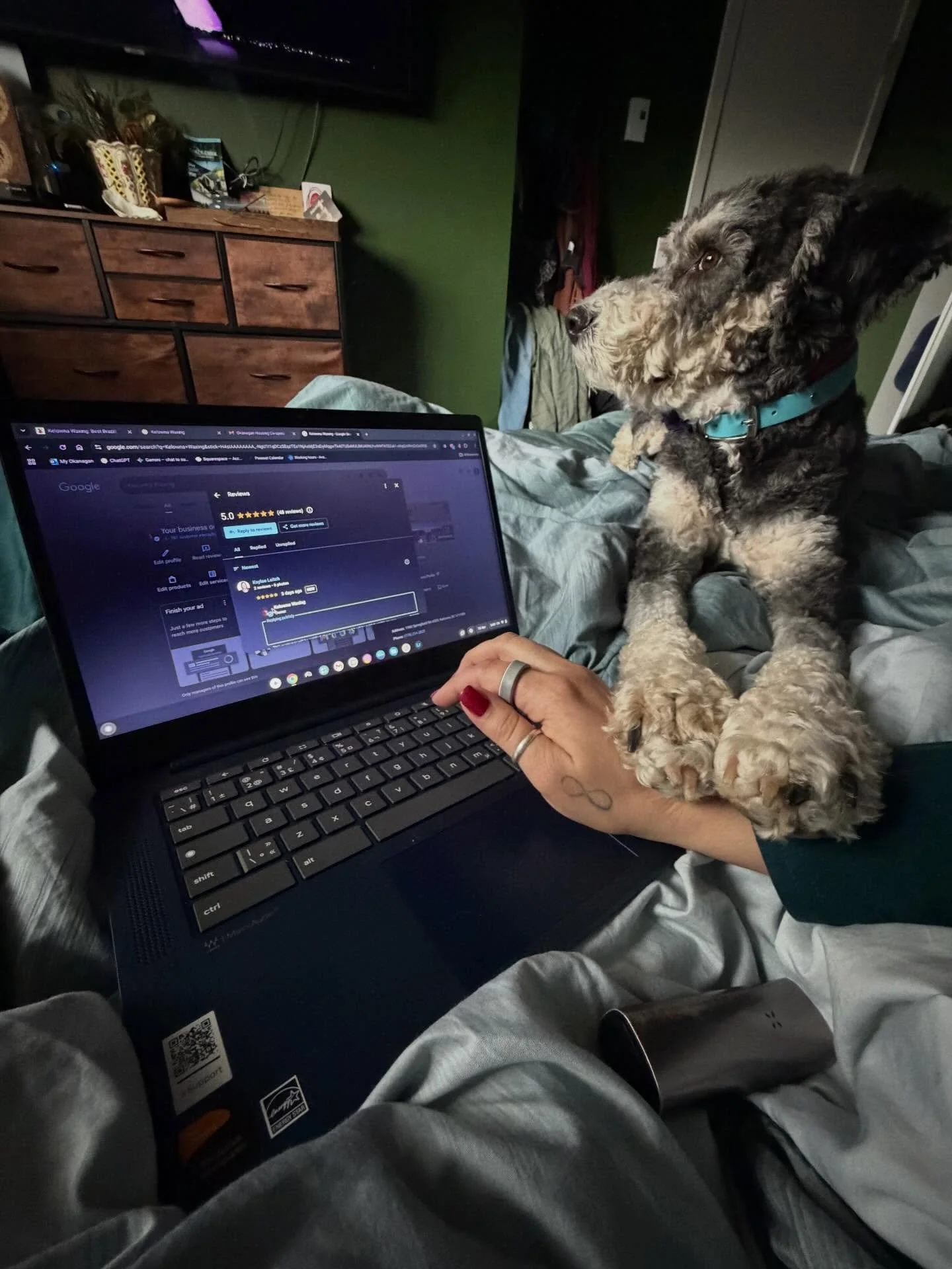 My assistant. Needs all the attention. Needy girl. She&rsquo;s in heat. That&rsquo;s ok Maggie. I get it.

#dogsofkelowna #kelownawaxing