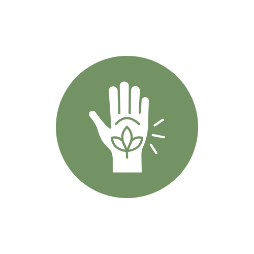 Icon of a hand with a leaf and rays indicating care or growth, on a green circle background.