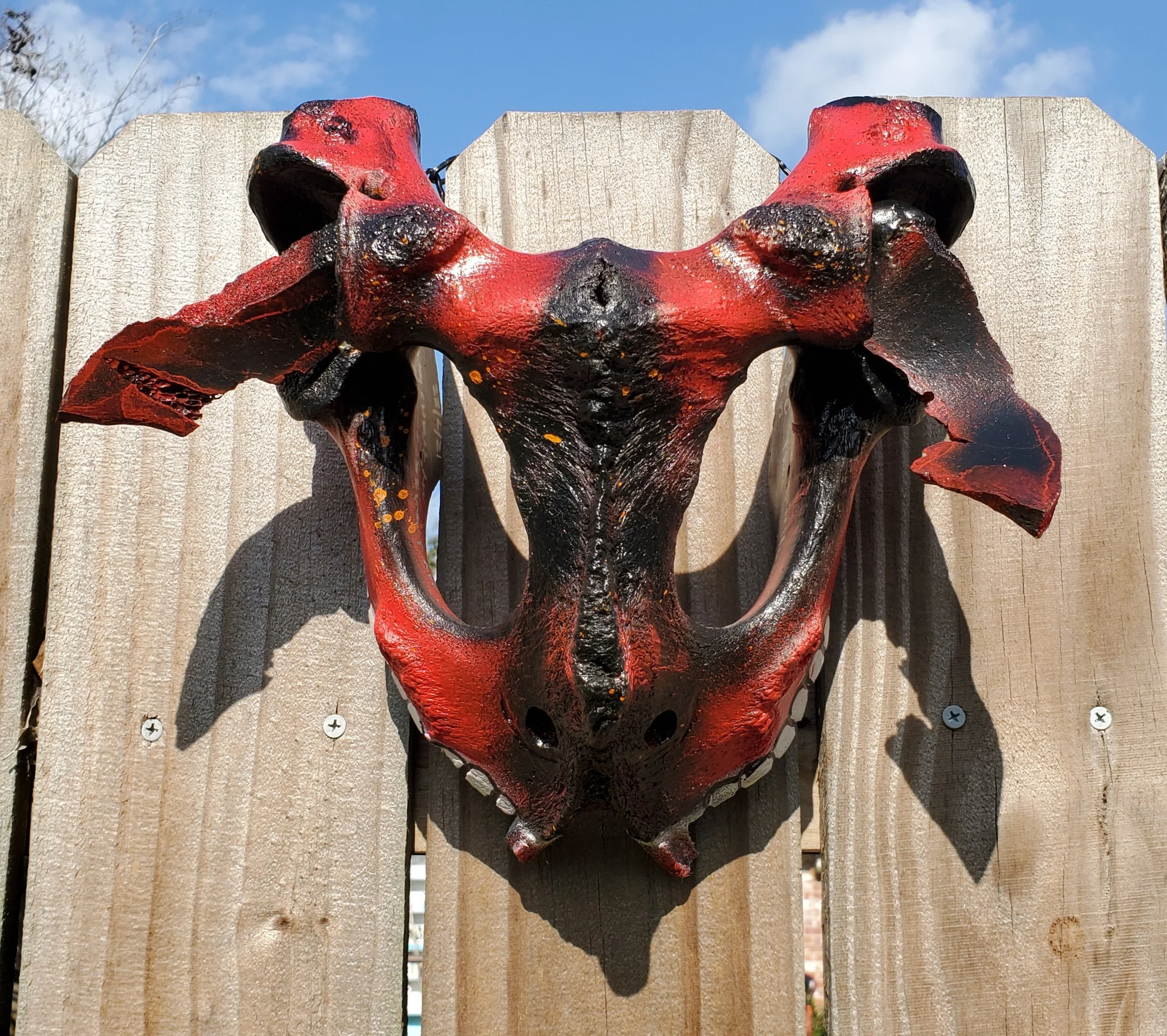 My inner feathered serpent

carved cow pelvis
