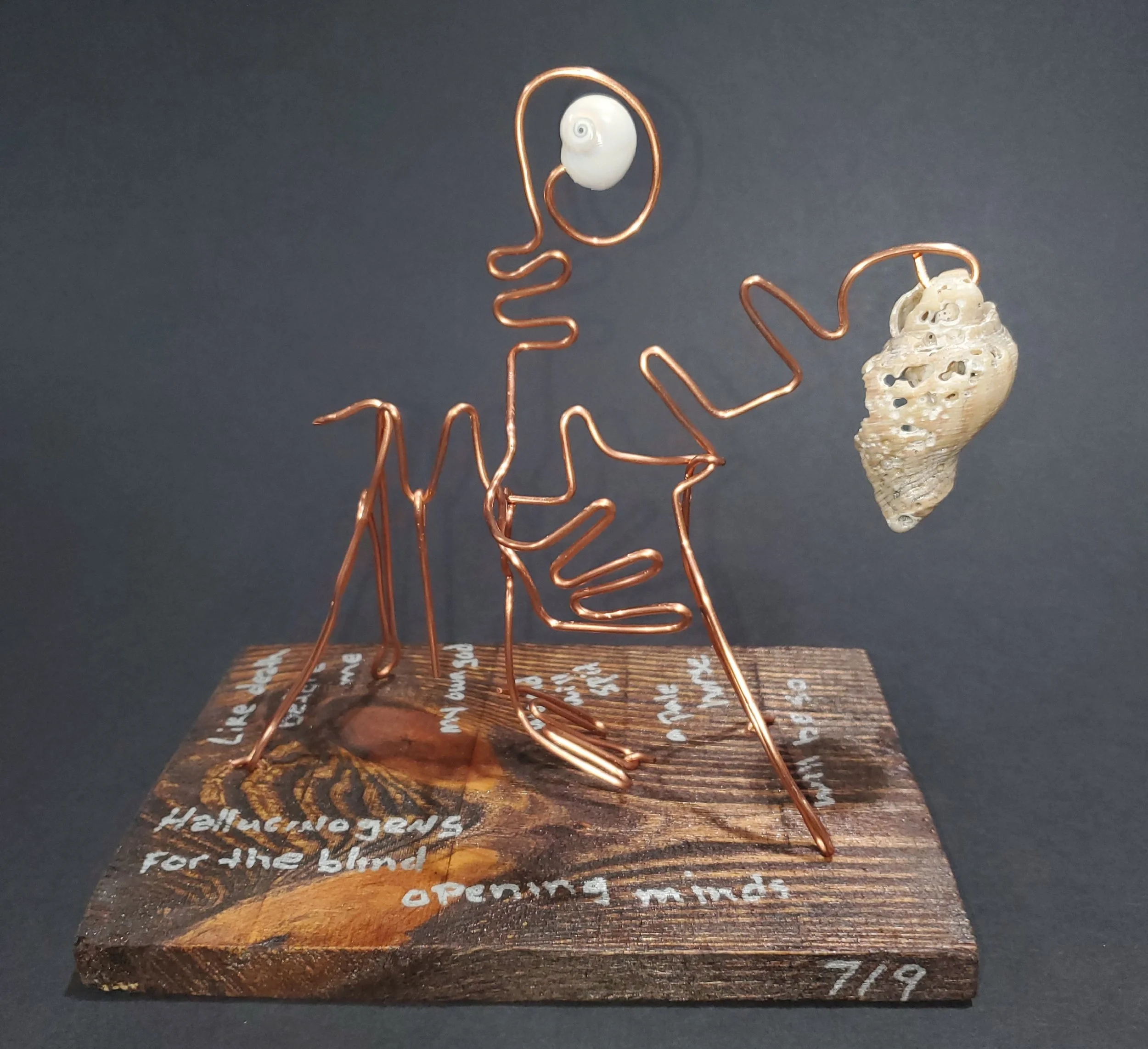 Hallucinogens for the blind

copper wire, seashell on wood base
6 x 8 inches