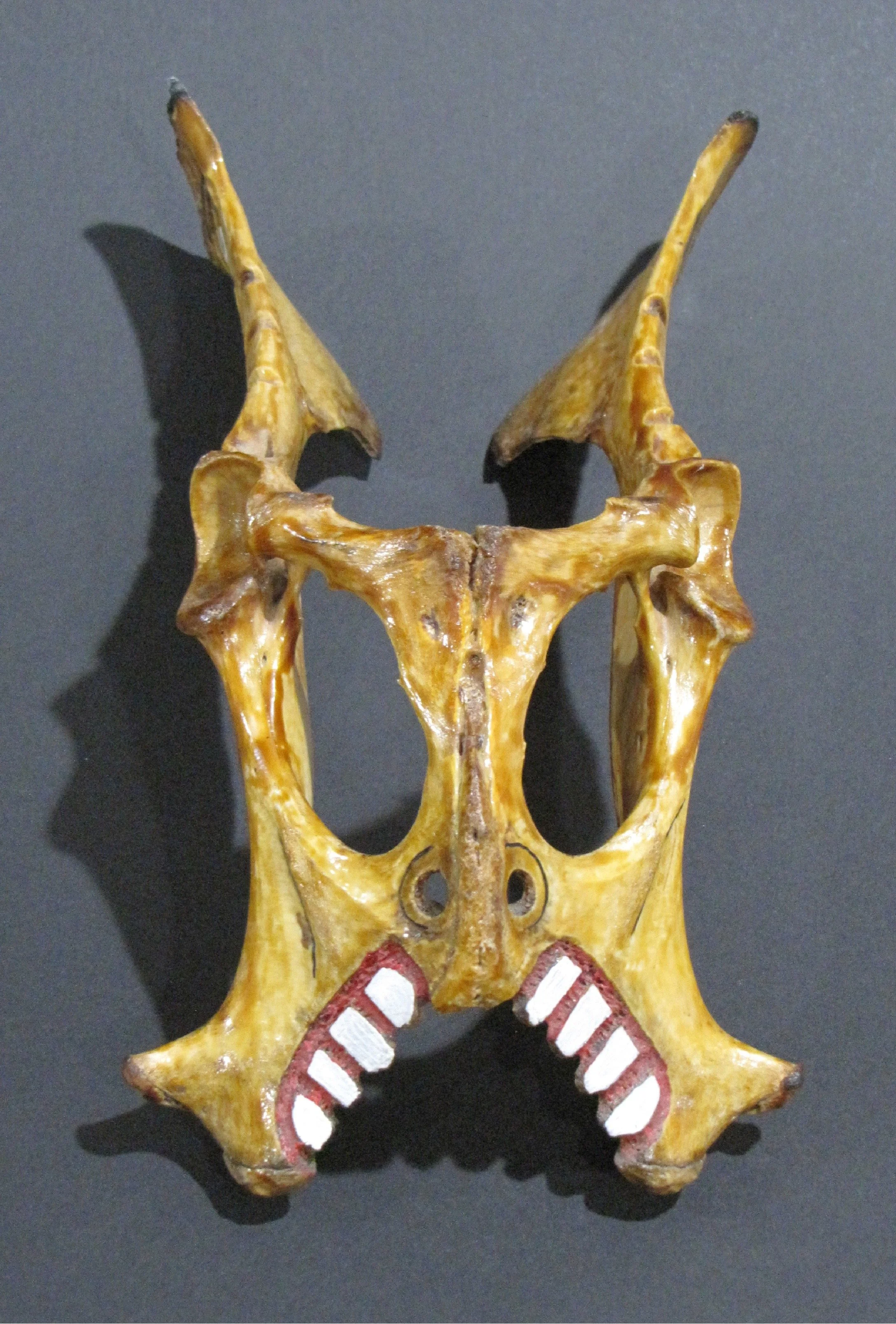 Angelic death mask

carved dog pelvis