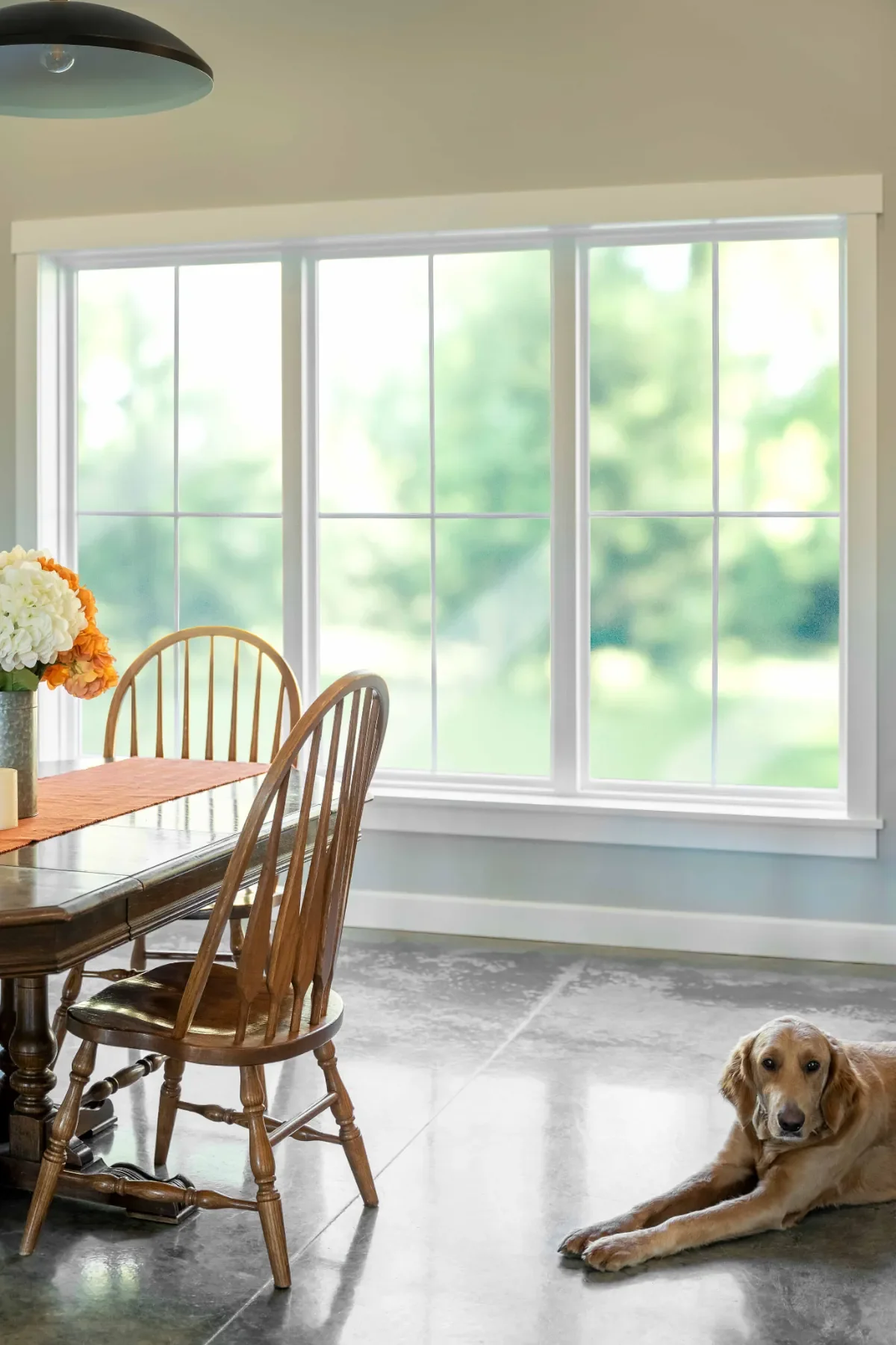 A dining area with a wooden table, matching chairs, and a vase of orange and white flowers on the table. Large windows with green trees visible outside. A golden retriever dog is lying on the floor in the corner.