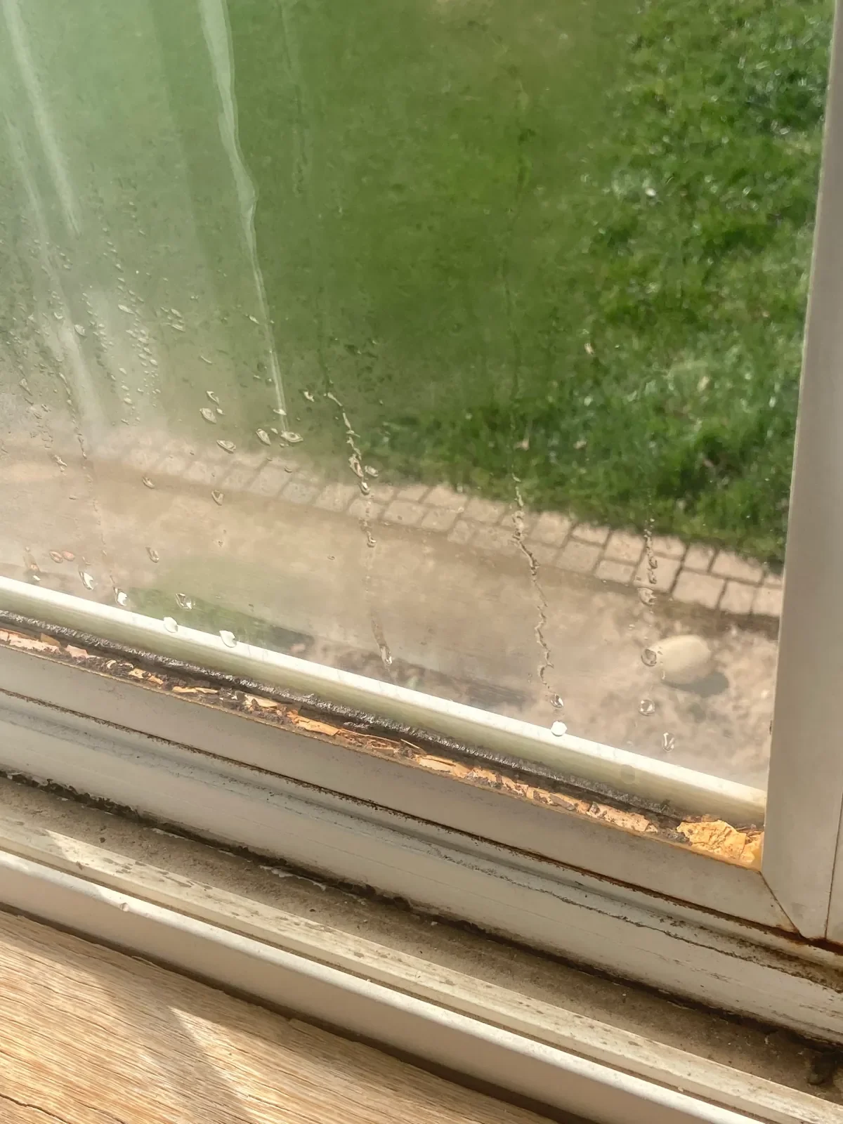 Rainy weather outside a window with raindrops on the glass and a green lawn with a brick pathway.