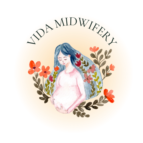 Vida Midwifery Logo ~ Homebirth services