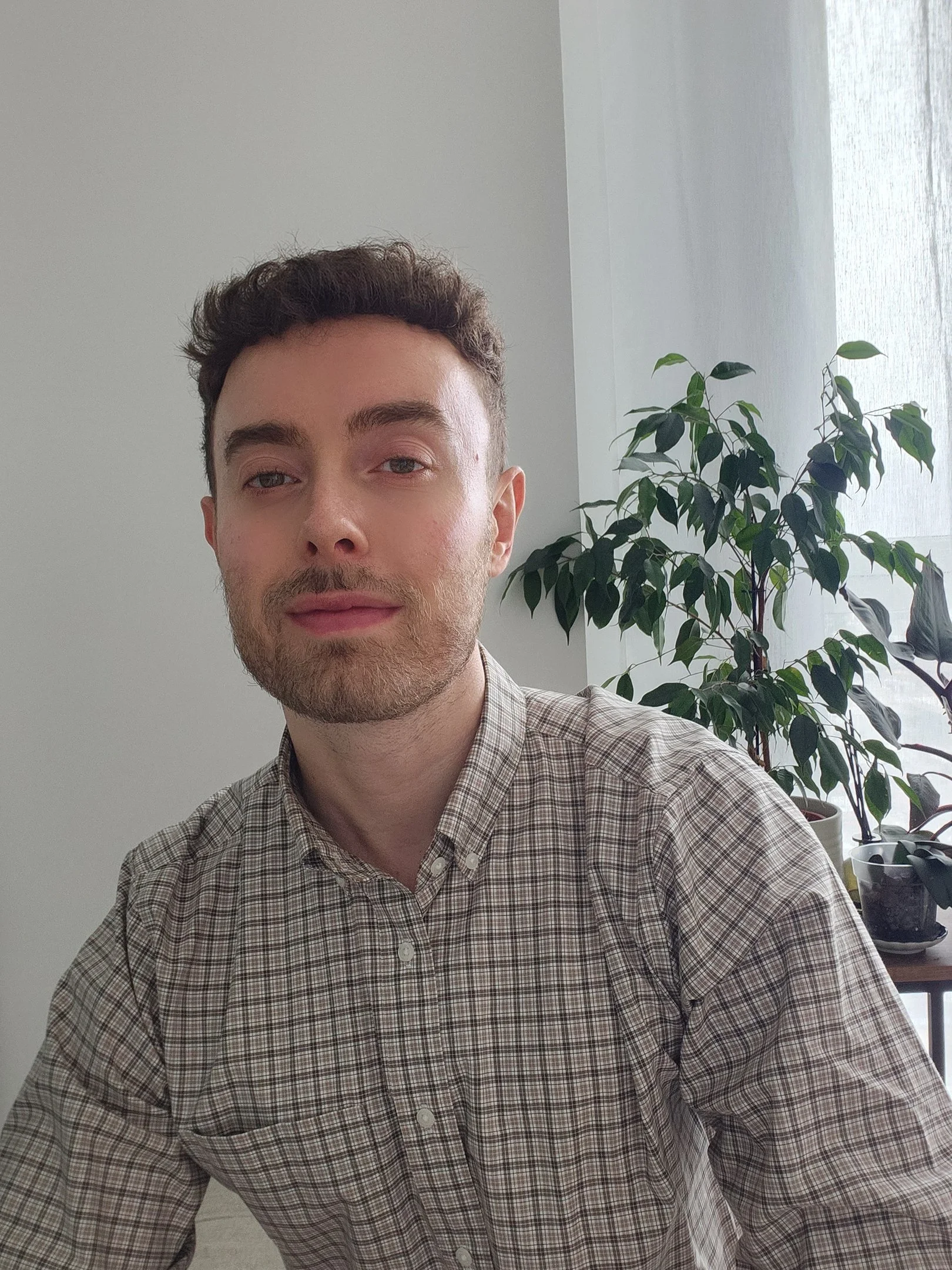 A young man with short brown curly hair, light facial hair, and blue eyes, wearing a beige plaid button-up shirt, sitting near a window with white curtains, with a large green houseplant on a table in the background.