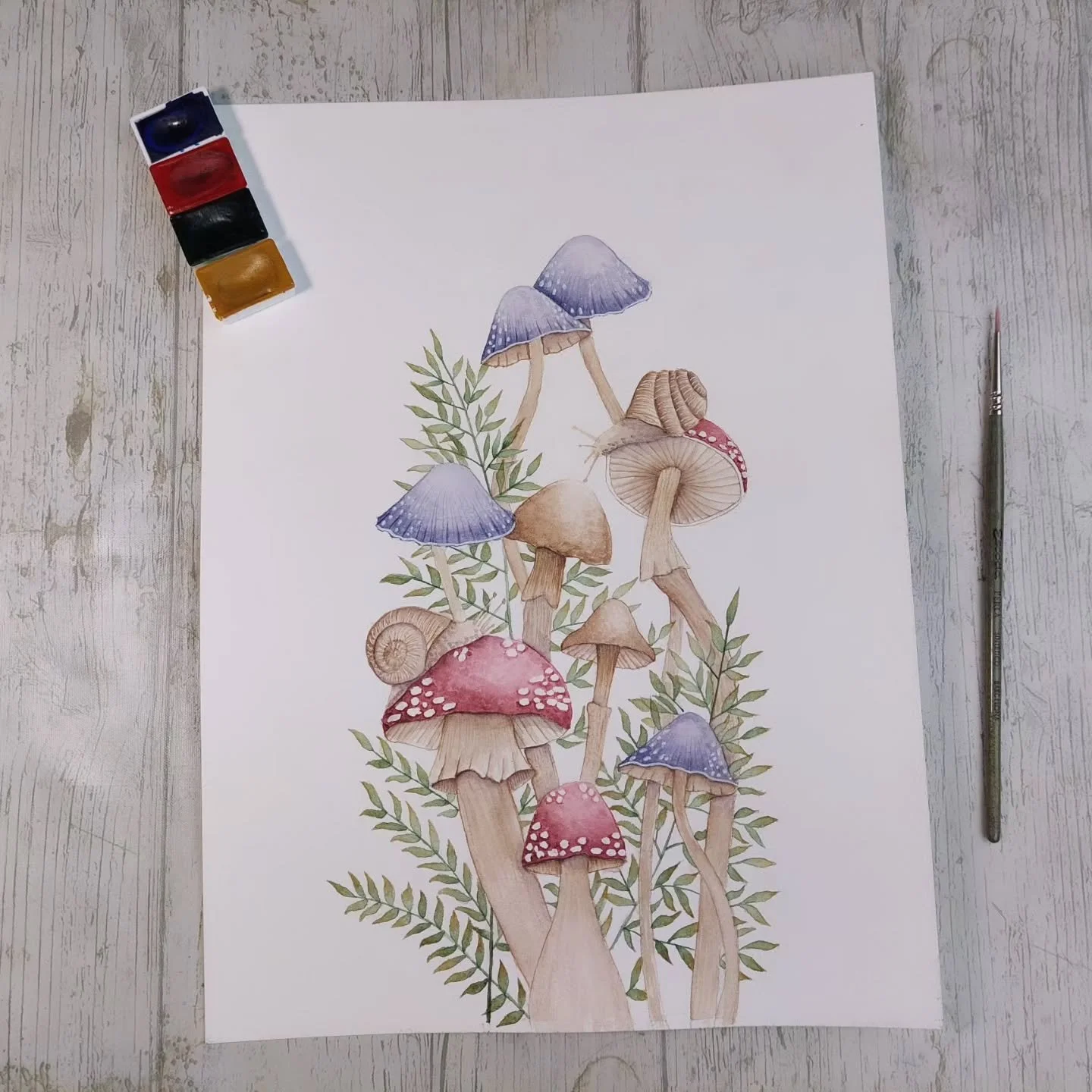 Composici&oacute;n original de hongos y caracoles 🐌. Resultado del curso de Diario de Dibujo de @cristinacilloniz.

#acuarelabotanica